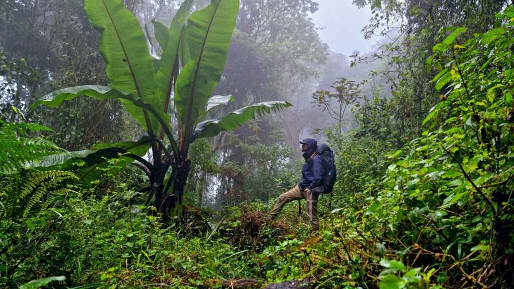África es un gran continente muy diverso en gente y ecosistemas y Pablo González lo cruzó de sur a norte.