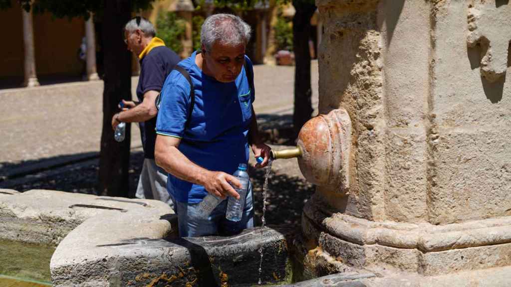 Durante episodios de calor extremo es recomendable buscar sobra y mantenerse hidratado.