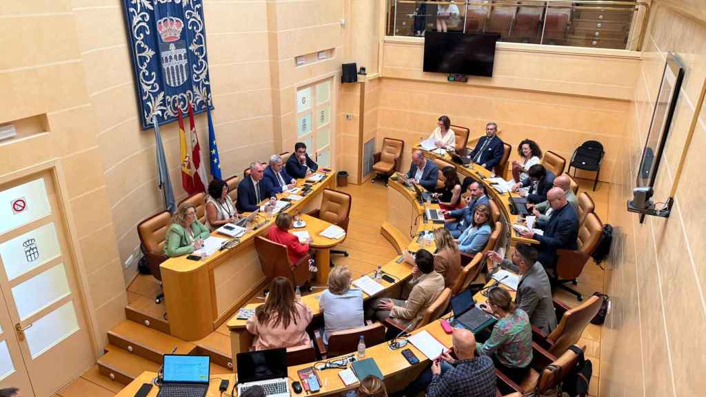 Imagen del pleno municipal