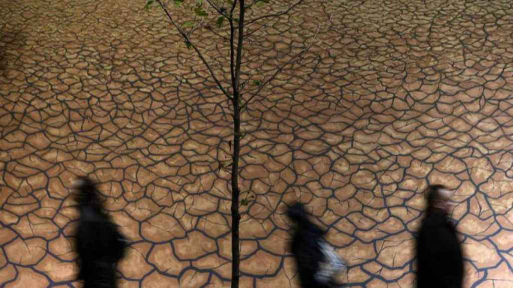 2024, el año del 'boom' en las finanzas verdes: el cambio climático es un factor clave para el 76% de los inversores en Europa