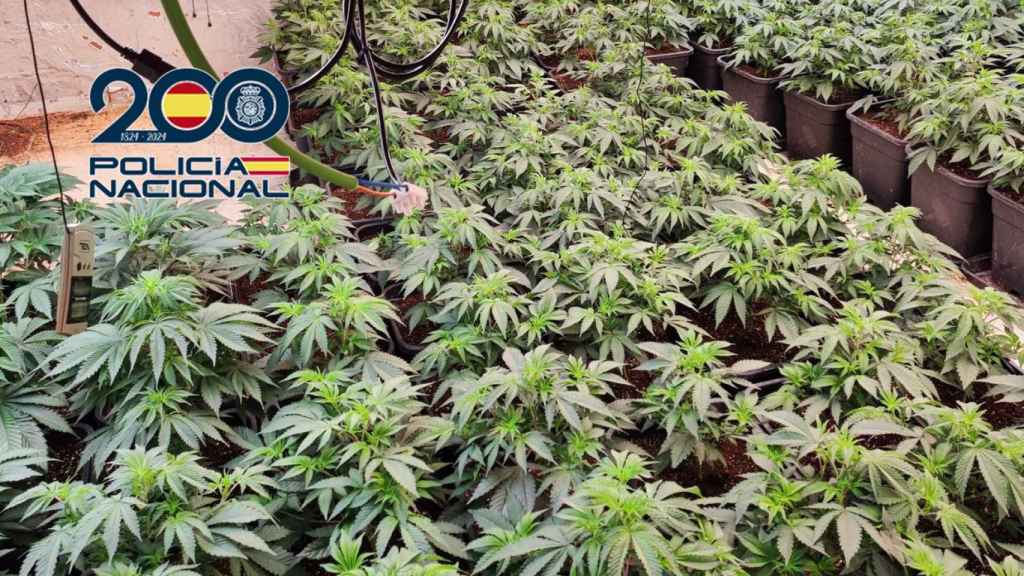 Detienen a seis miembros de una familia tras desmantelar un punto de venta de droga en un edificio de Picassent. Policía Nacional