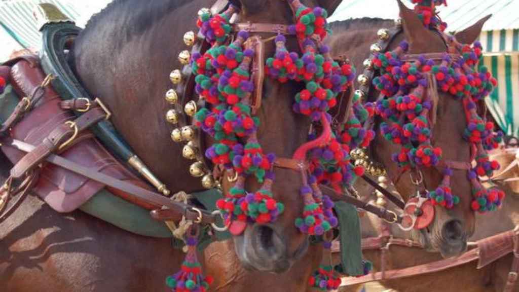 Caballos engalanados para la feria.
