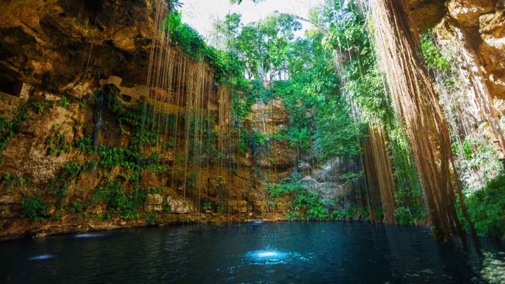 Interior de un cenote.