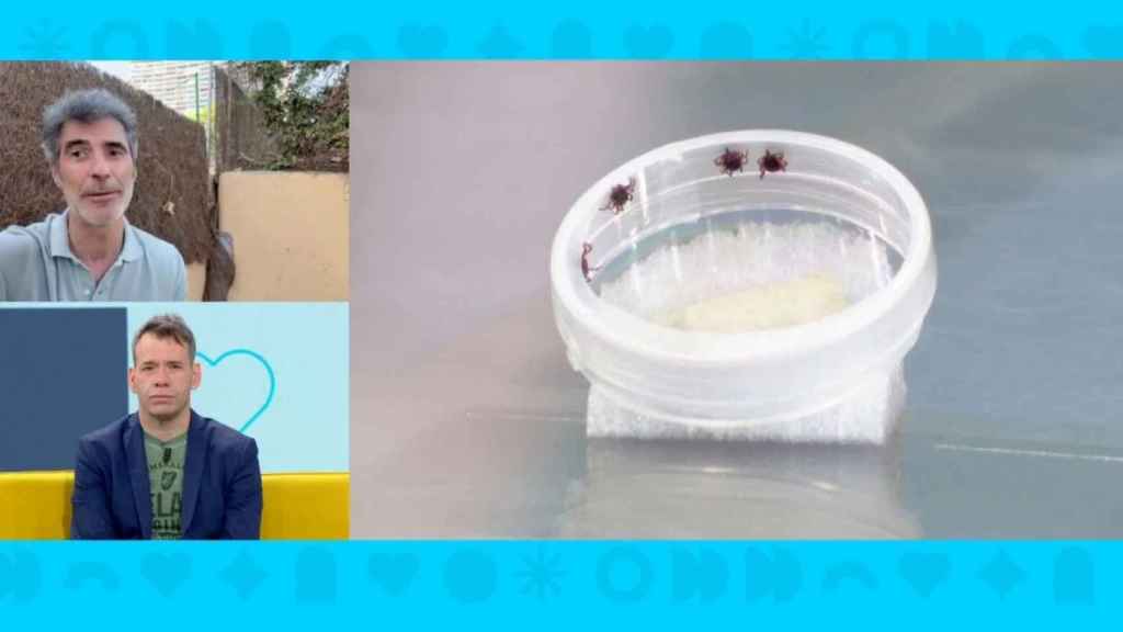 Jorge Fernández, este lunes en 'Espejo Público'.