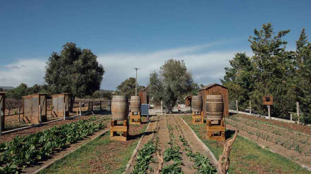 Con su huerto, Casa Nova busca alcanzar la autosuficiencia.
