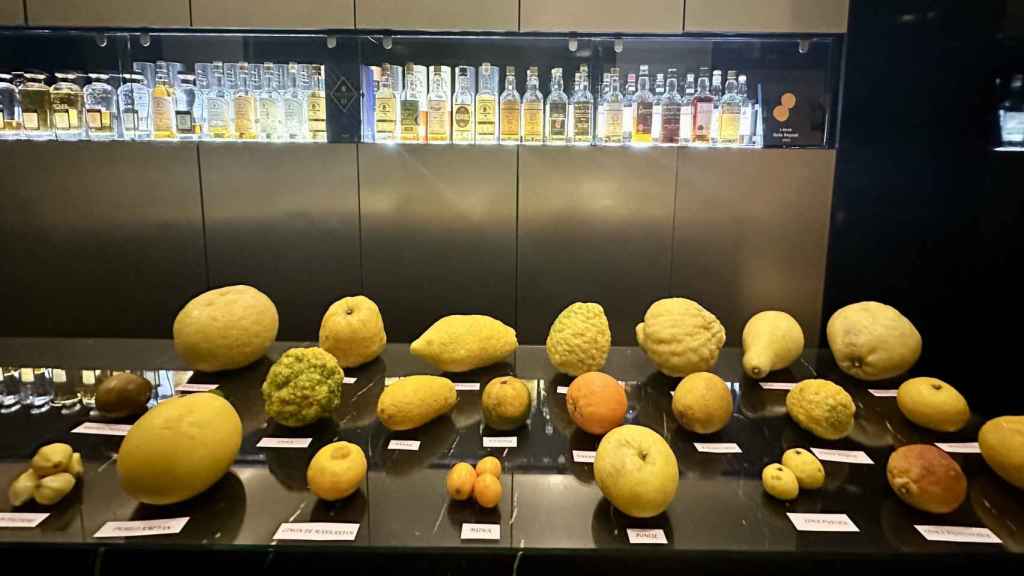 La exposición de cítricos en El Poblet.