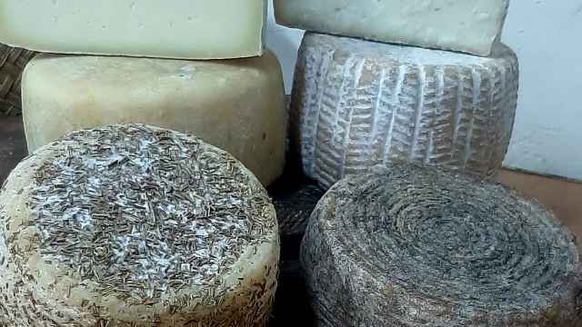 Los quesos de semi de oveja, orégano mezcla , cabra y mezcla lavado con garnacha que presentaron al concurso desde la granja Vega Alberche.