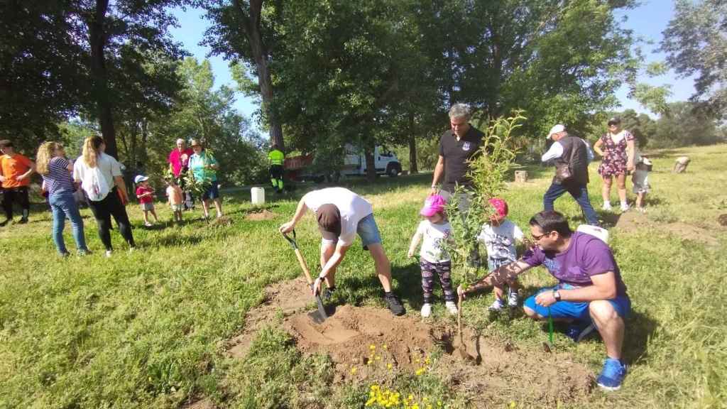 Plantación de frutales en la Isla del Soto