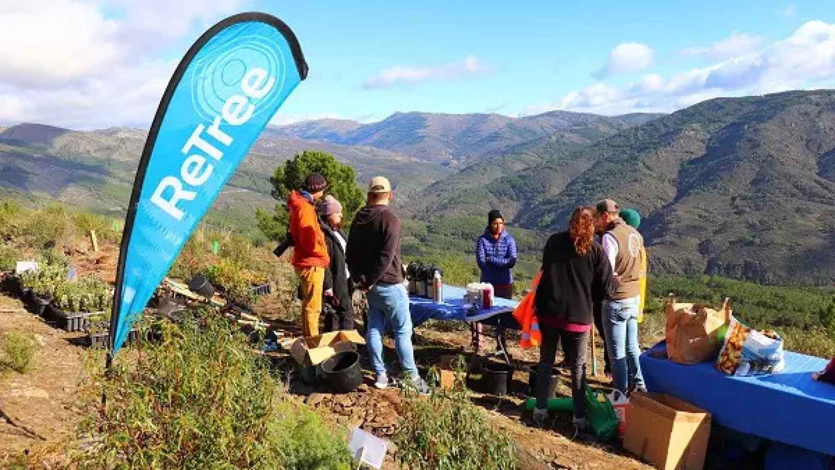 Así es la 'reforestación inteligente' del proyecto ReTree para luchar ...