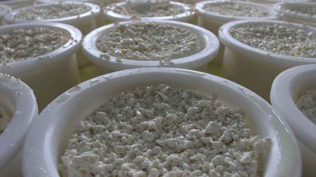 Moldes en los que han el queso en Alimentos de Miraflores.