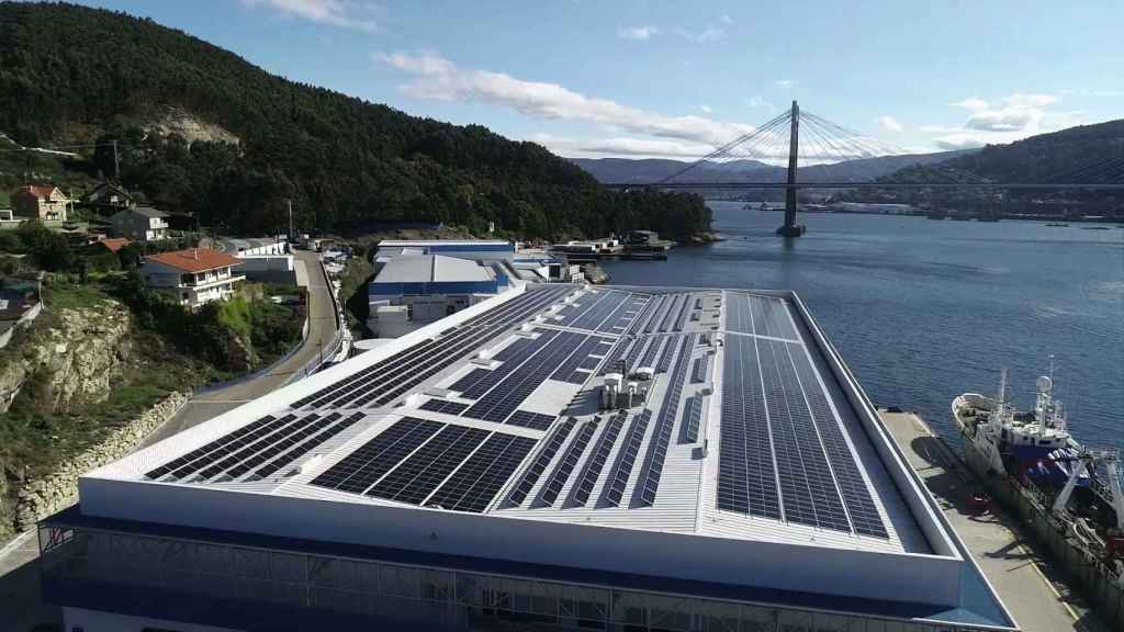 Instalaciones de la pesquera Fandicosta en Domaio (Moaña).