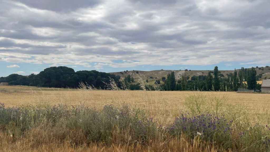 Al fondo a la izquierda, parte de los terrenos comprados por los árabes.