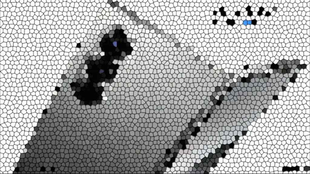 Imagen filtrada del Samsung Galaxy Z Fold 6