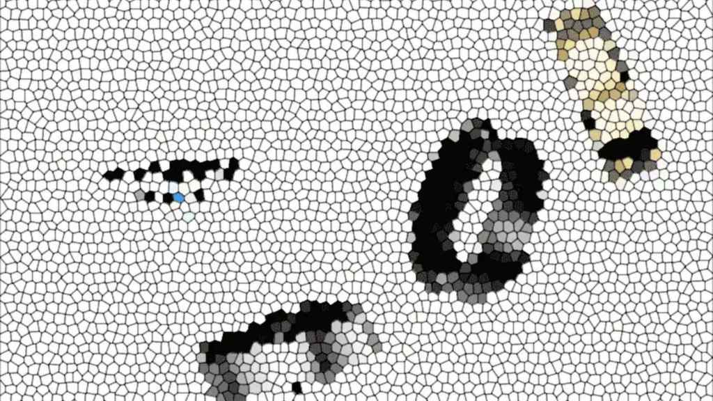 Imagen filtrada del Samsung Galaxy Ring en tres colores