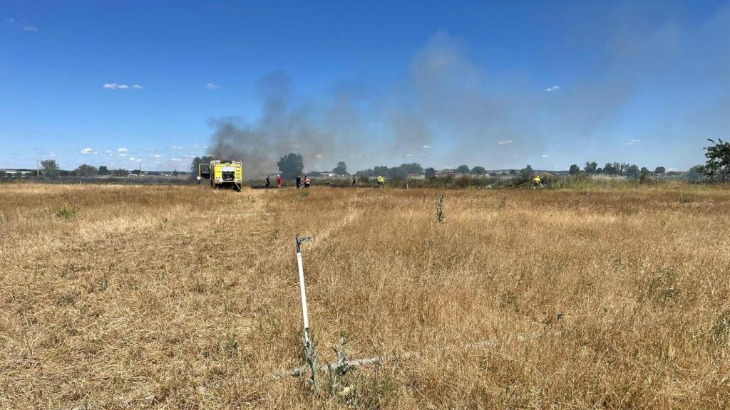 Un lugar de vegetación cercano a la Uurbanización Las Cabañas de Villaralbo.