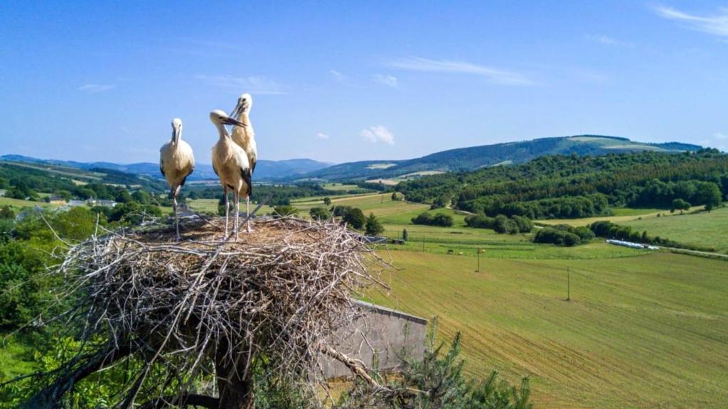 Reserva de la Biosfera Terras do Miño.