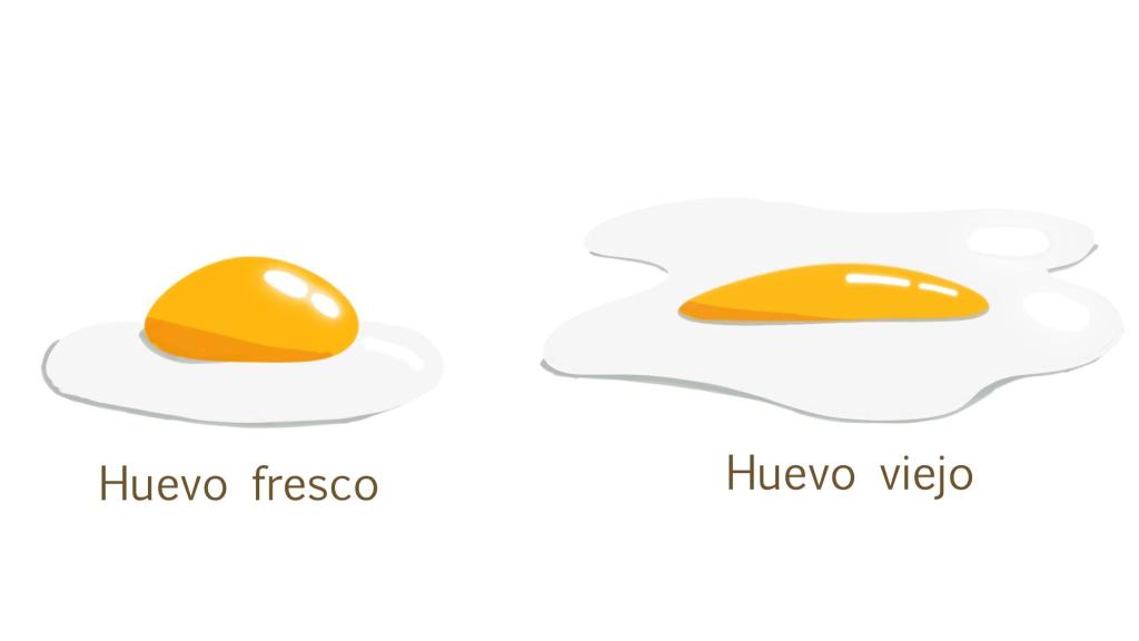 Huevo fresco y huevo viejo