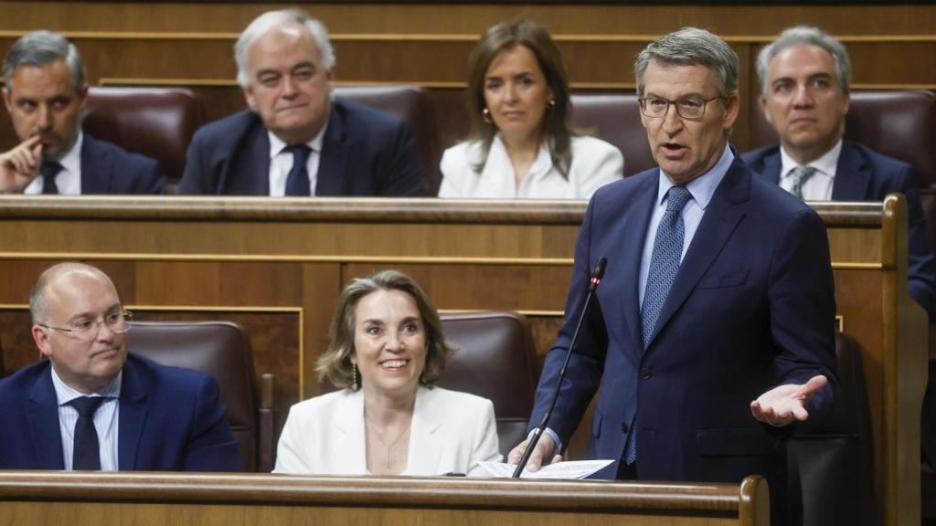 El líder del PP, Alberto Núñez Feijóo.