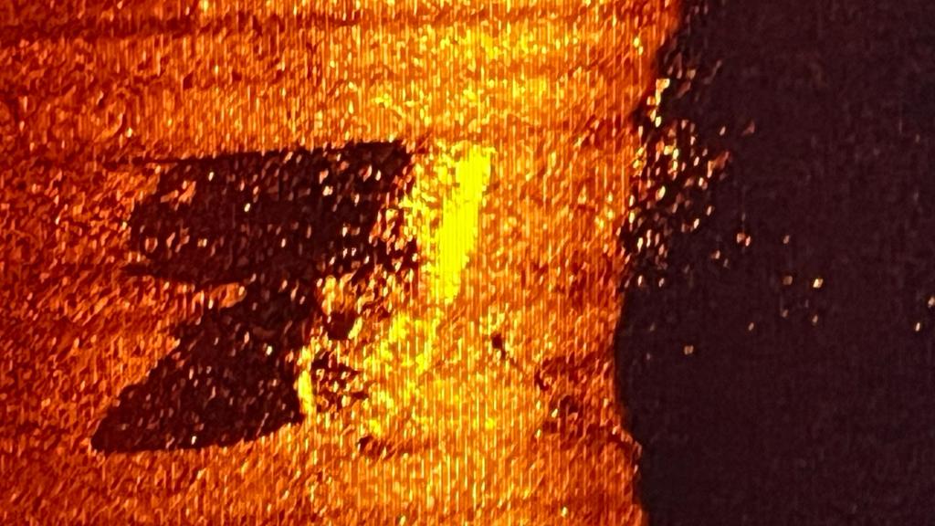 Imagen de sonar del 'Quest'