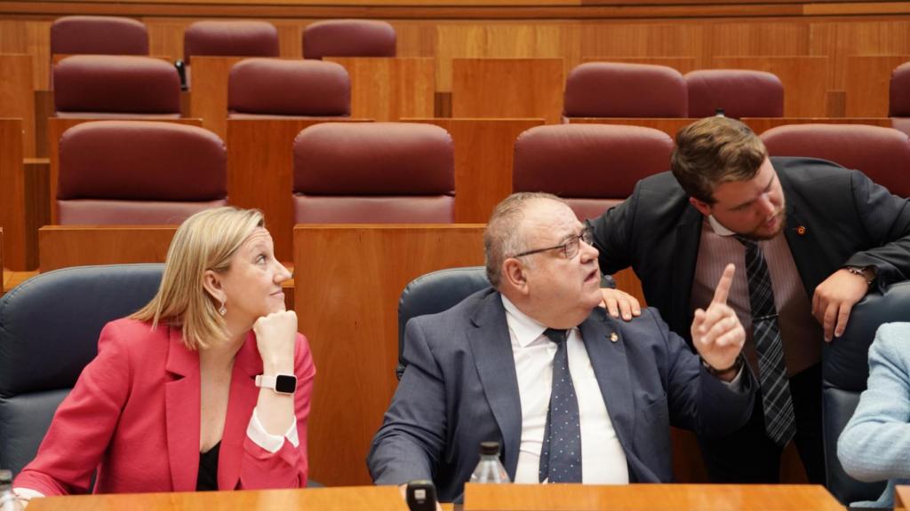 La consejera de Familia, Isabel Blanco, durante el pleno de las Cortes de este jueves