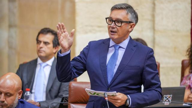 El portavoz de Vox en el Parlamento andaluz, Manuel Gavira.