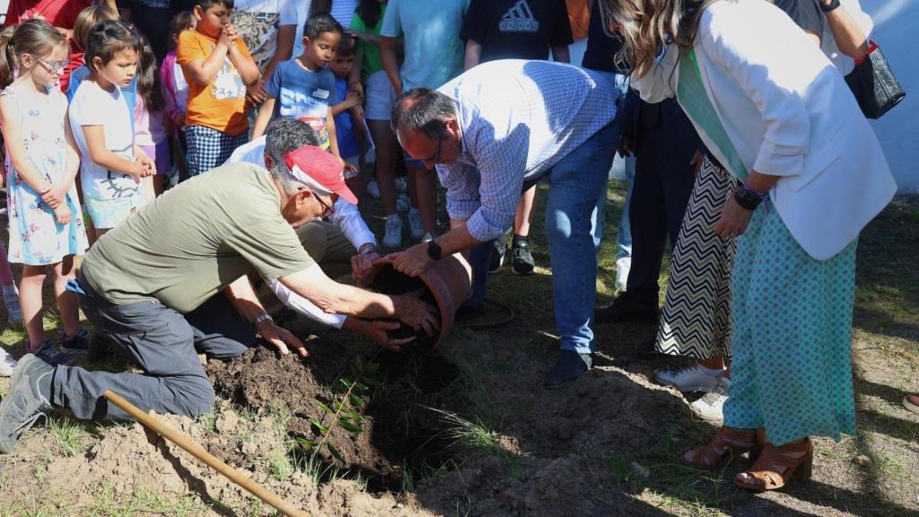 Momento en el que se ha plantado el laurel en el colegio Fábrica de Armas de Toledo.