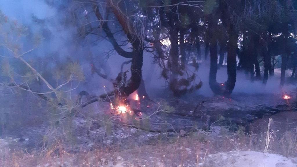 Incendio forestal San Martín y Mudrián