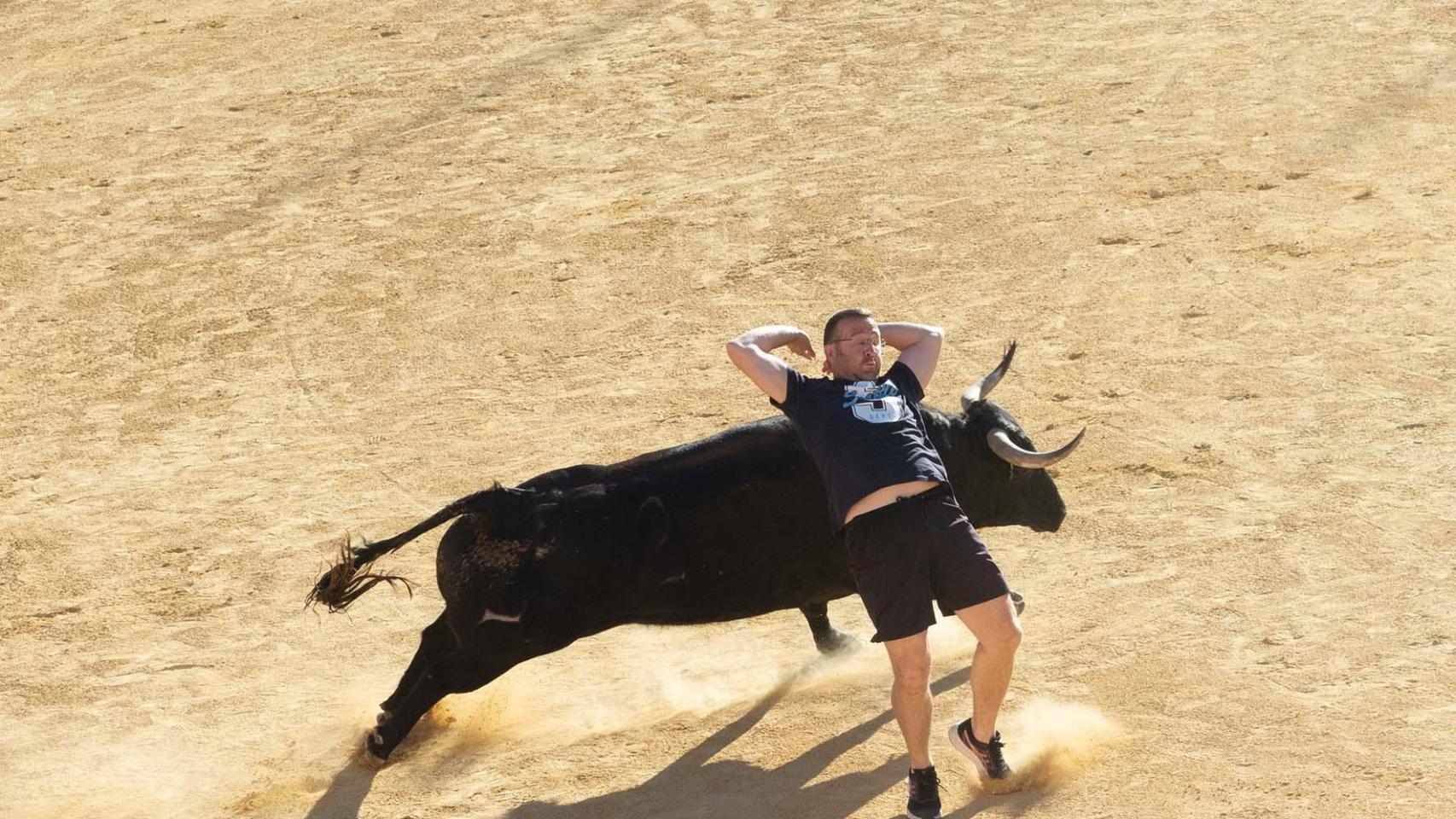 'El Toro de la Feria 2024' de Medina del campo