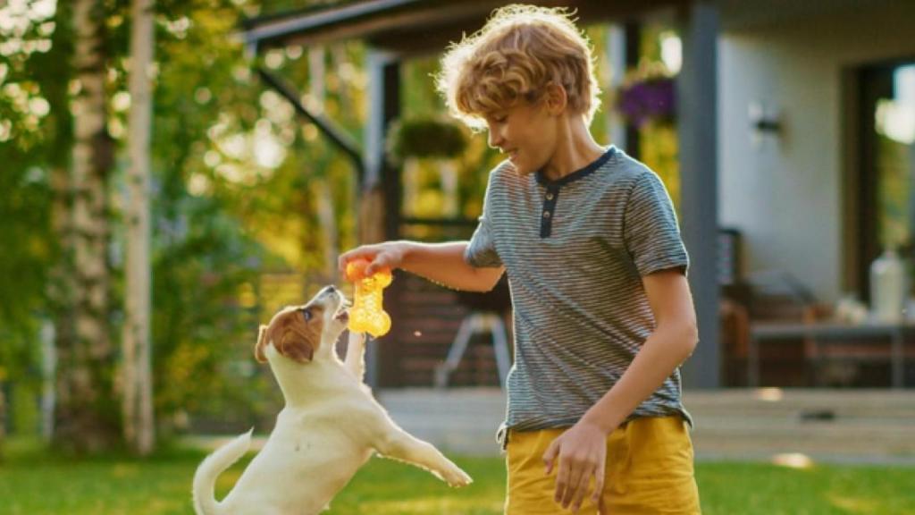 4 chollazos de la Promo de Verano de AliExpres: cupones de descuento, ofertones y mucho más