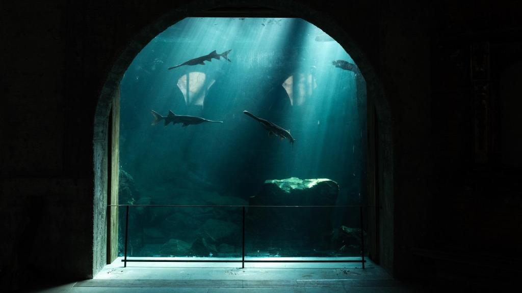 Acuario cenote colapsado de Bioparc Fuengirola