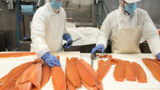 Operarios durante su tiempo de trabajo