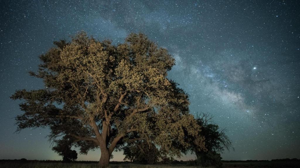 Socuéllamos bajo las estrellas. / Foto: Javier López.
