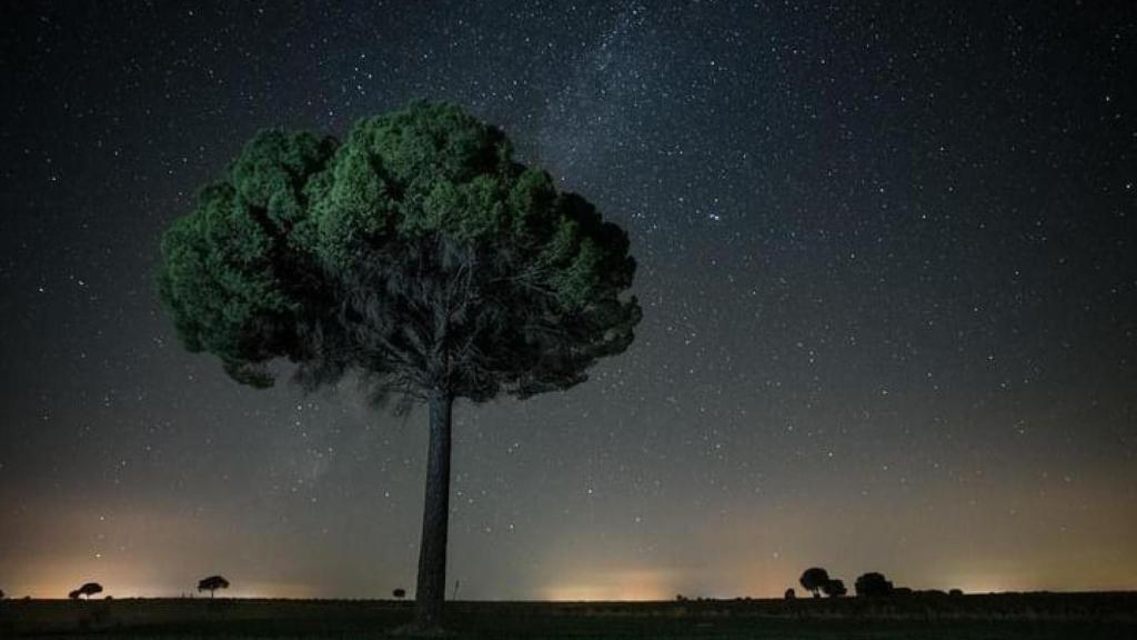 El Provencio. / Javier López.