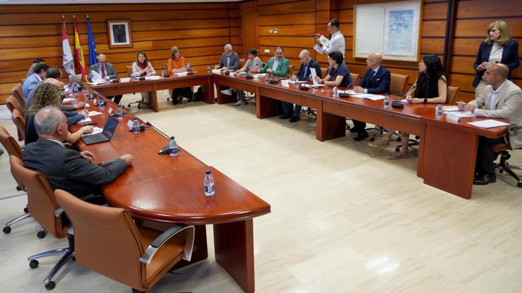 La consejera de Movilidad y Transformación Digital, María González Corral, preside la reunión de la Mesa de las Telecomunicaciones