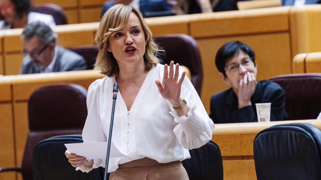 La ministra de Educación, Pilar Alegría, este martes en la sesión de control al Gobierno en el Senado.