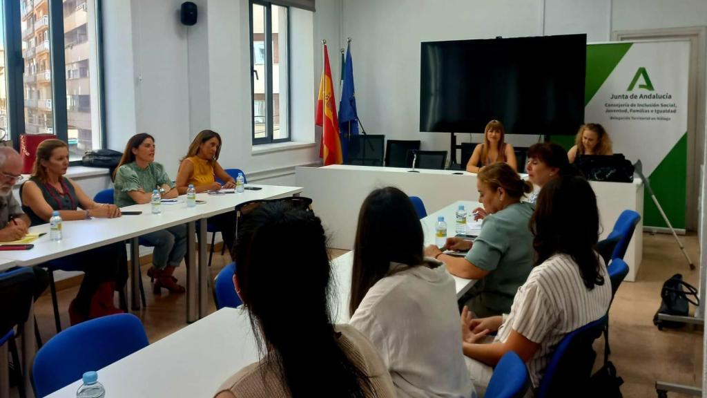 Un momento de la reunión del Consejo Provincial de personas con discapacidad