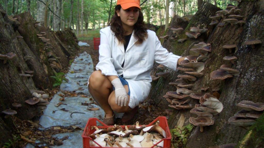 Proyecto Hifas da Terra, en Pontevedra