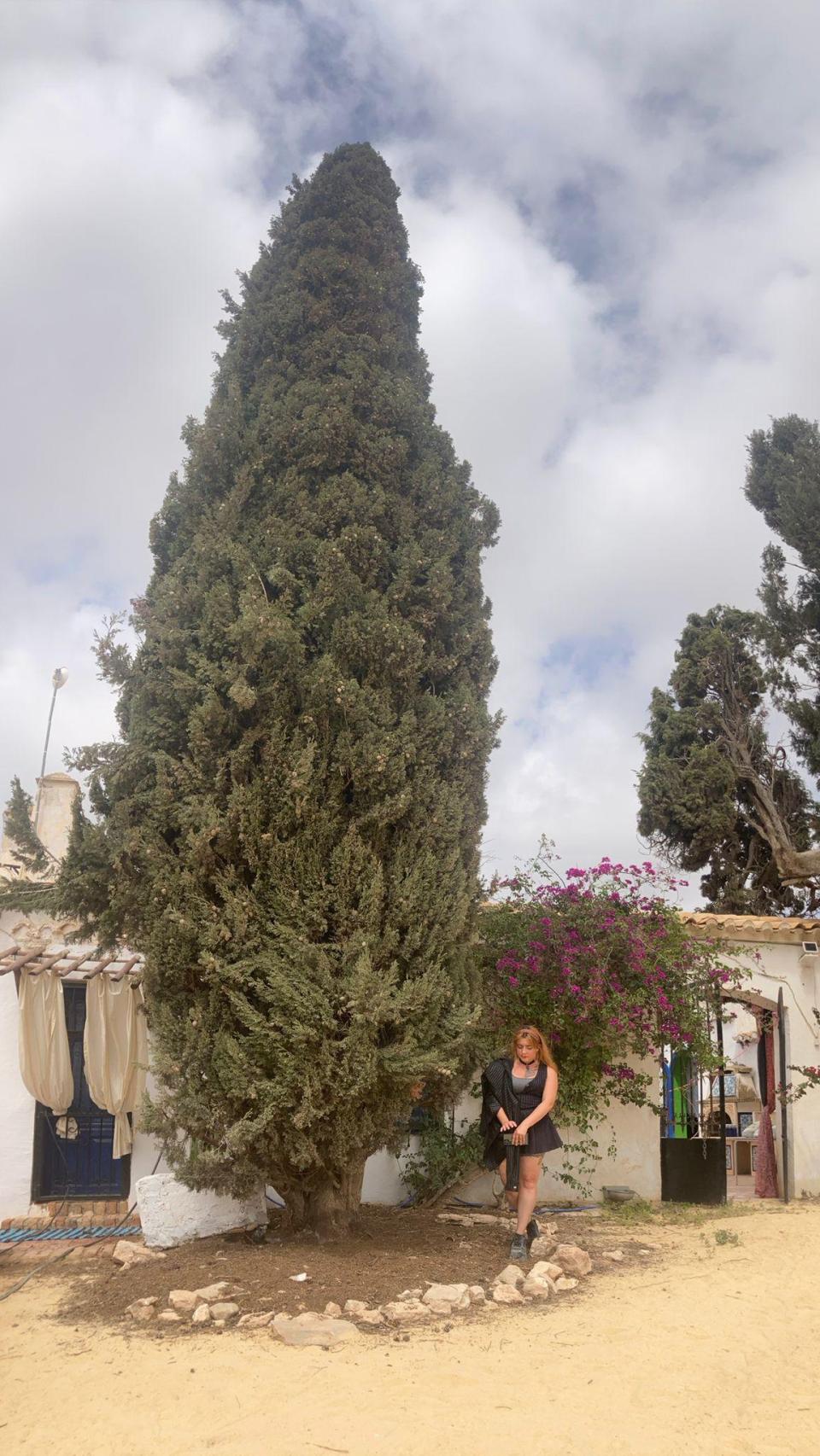 Rachel Wesenauer muestra una parte del patio de Finca Langostina, hoy en obras.