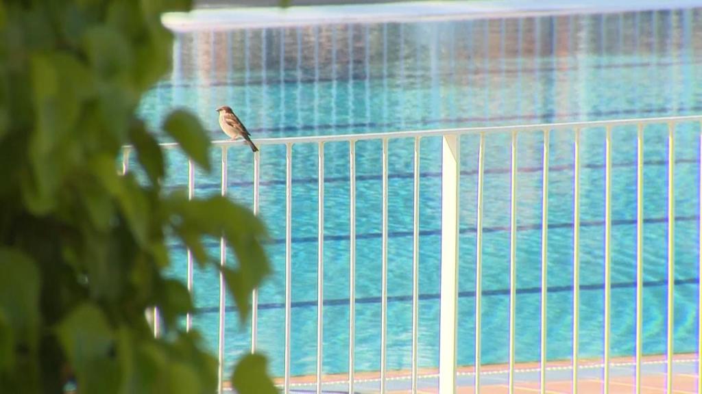 Piscina municipal de Madrid.