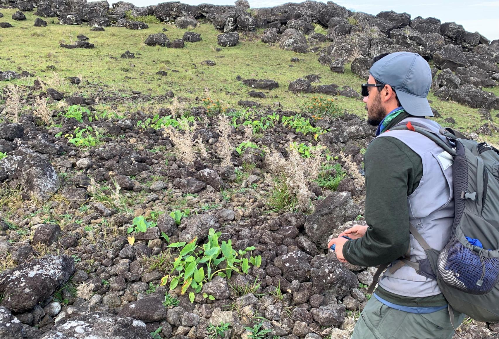 Uno de los jardines de roca de la isla.