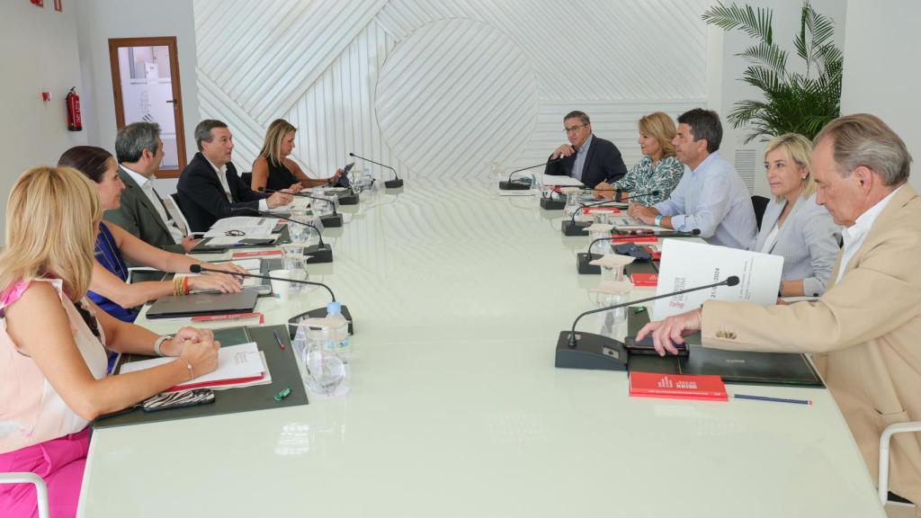 El Pleno del Consell reunido este viernes en Alicante. EE
