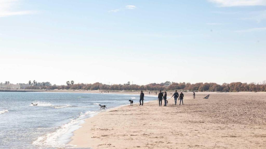 Playa de Pinedo (Valencia).