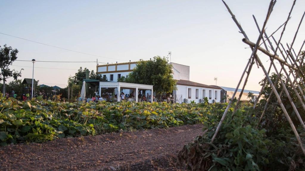 Horchatería Vida, en medio de la huerta valenciana en la localidad de Alboraya (Valencia). JM Fotografía