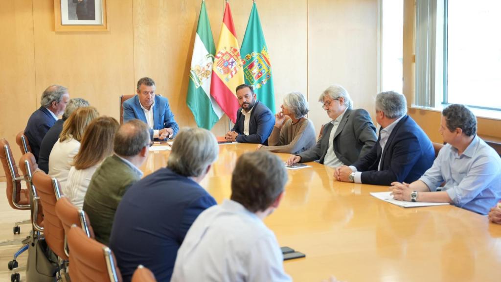 Fernández, en la presentación del proyecto este lunes en la Diputación.