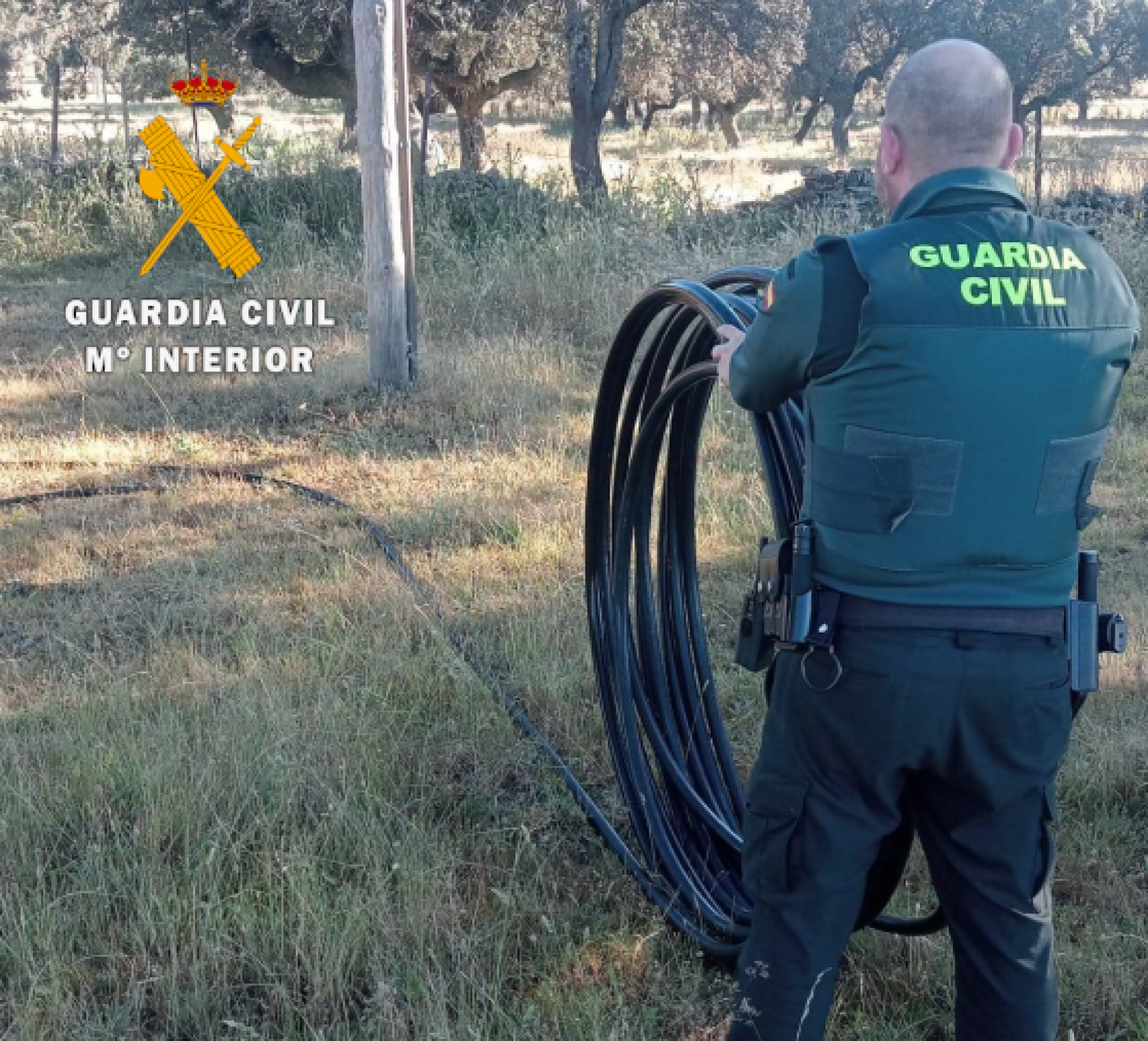 Robo de cobre en Cortos de la Sierra