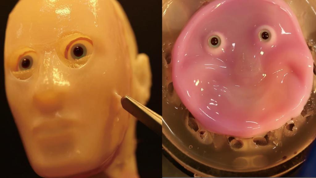 El robot con piel 'viva'.