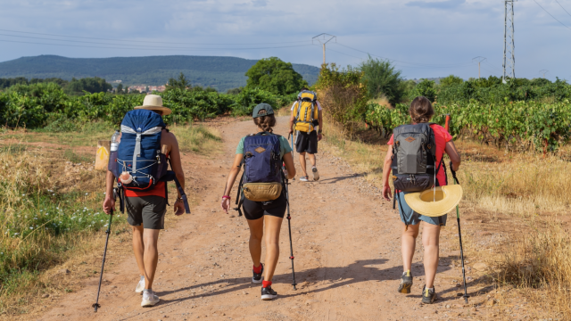 Peregrinos recorriendo el Camino de Santiago.