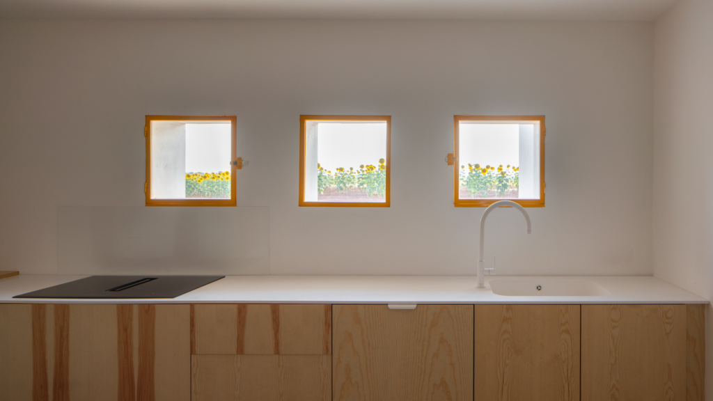 Foto: Imagen Subliminal.