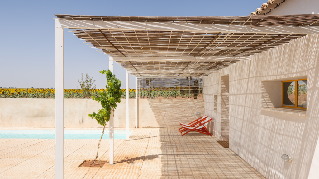 Foto: Imagen Subliminal.