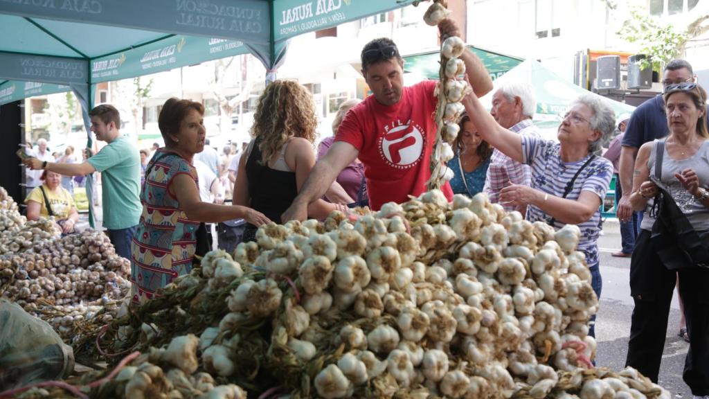 Inauguración de la Feria del Ajo de 2024